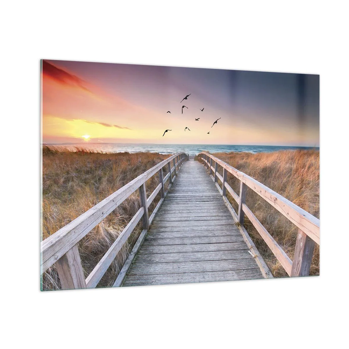 Impression sur verre - Image sur verre - Une passerelle en bois sur les dunes menant à la plage au coucher du soleil - 100x70cm - Envol des espaces - Décoration murale moderne pour le salon et la chambre ARTTOR