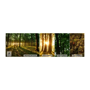 Échantillon De Papier Peint Standard Eco - Toutes les photographies de printemps - Paysage, Forêt, Nature - 100x30 cm