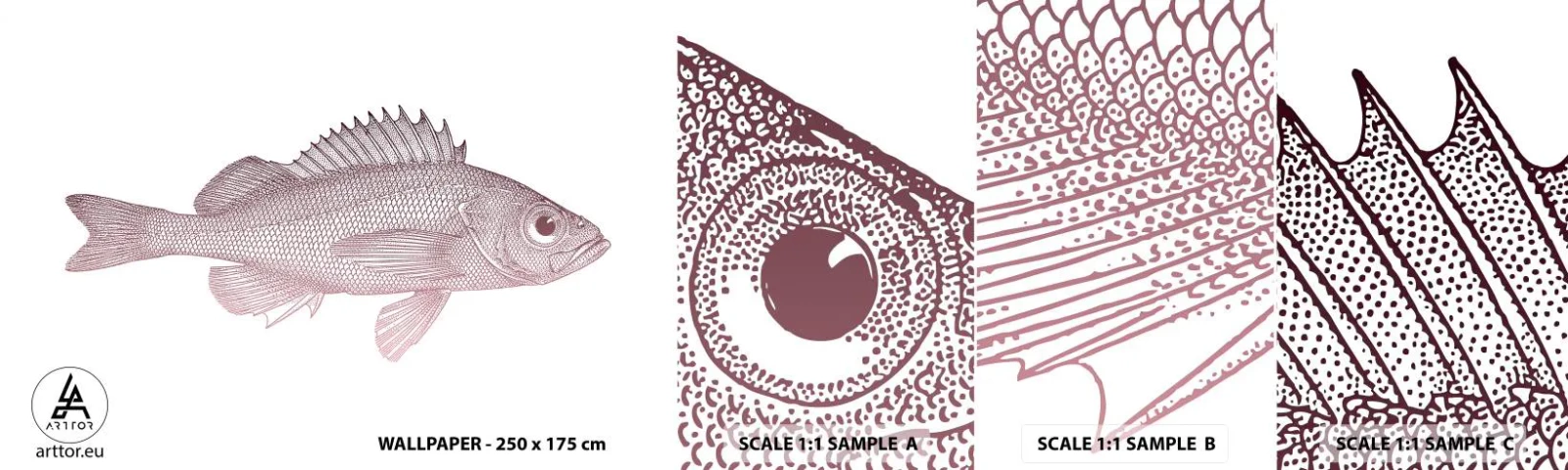 Échantillon de Papier Peint Autocollant Deluxe Sticker - Poisson aux grands yeux - Poisson, Sous-marin, Minimaliste - 100x30 cm