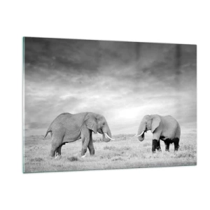 Impression sur verre - Image sur verre - Deux éléphants dans la savane dans des tons de noir et blanc - 120x80cm - Le gris est beau - Décoration murale moderne pour le salon et la chambre ARTTOR