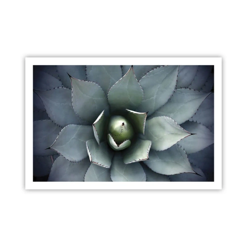 Affiche - Poster - Wabi et observe - 91x61 cm