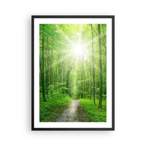 Affiche dans un cadre noir - Poster - Un chemin forestier illuminé par les rayons du soleil - 50x70cm - Cathédrale verte - Décoration murale moderne pour le salon et la chambre ARTTOR