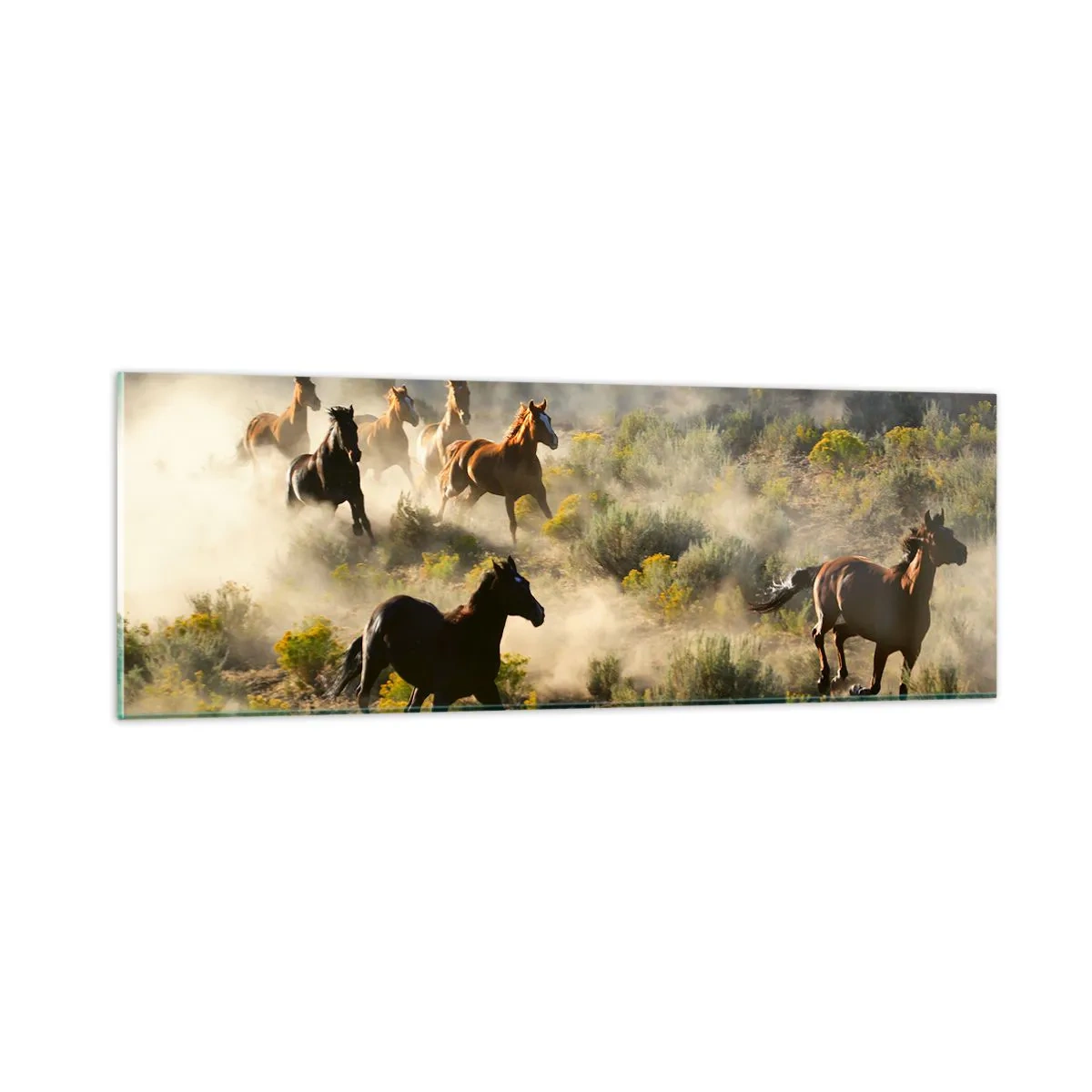 Impression sur verre - Image sur verre - Rivalité - liberté ou force masculine ? - 90x30 cm