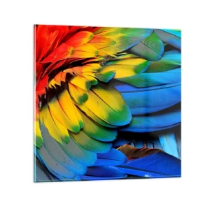 Impression sur verre - Image sur verre - Oiseau de paradis - 50x50 cm
