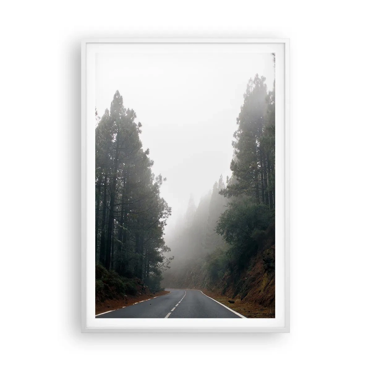 Affiche dans un cadre blanc - Poster - Conte de la forêt magique - 70x100 cm