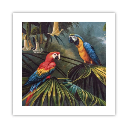 Affiche - Poster - Romantisme dans les tropiques - 40x40 cm