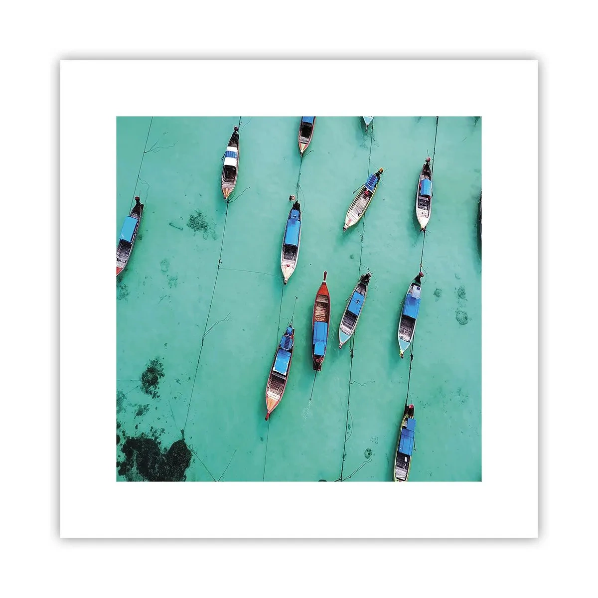 Affiche - Poster - Dans une attente jouyeuse - 30x30 cm