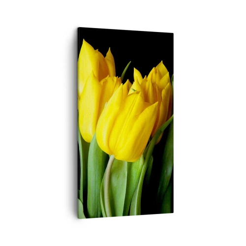 Impression sur toile - Image sur toile - Lever de soleil pur - 45x80 cm