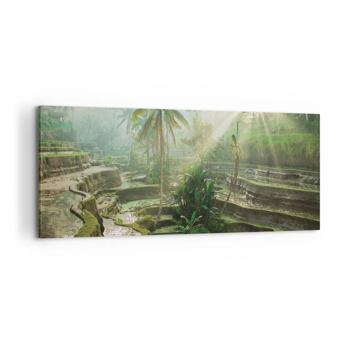 Impression sur toile - Image sur toile - Rizières en terrasses avec palmiers sous les rayons du soleil - 120x50cm - Grandir au soleil - Décoration murale moderne pour le salon et la chambre ARTTOR