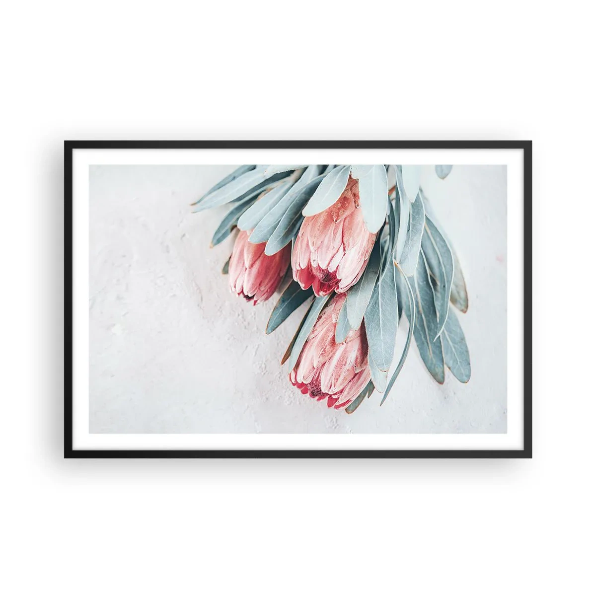 Affiche dans un cadre noir - Poster - Honte de leur propre beauté - 91x61 cm