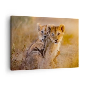 Impression sur toile - Image sur toile - Adorables lionceaux dans leur environnement naturel - 70x50cm - Ne pas déranger! On s'amuse - Décoration murale moderne pour le salon et la chambre ARTTOR