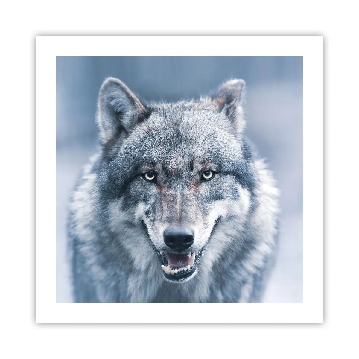 Affiche - Poster - Relèverez-vous le défi ? - 50x50 cm