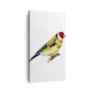Impression sur toile - Image sur toile - Portrait d'oiseau - 45x80 cm