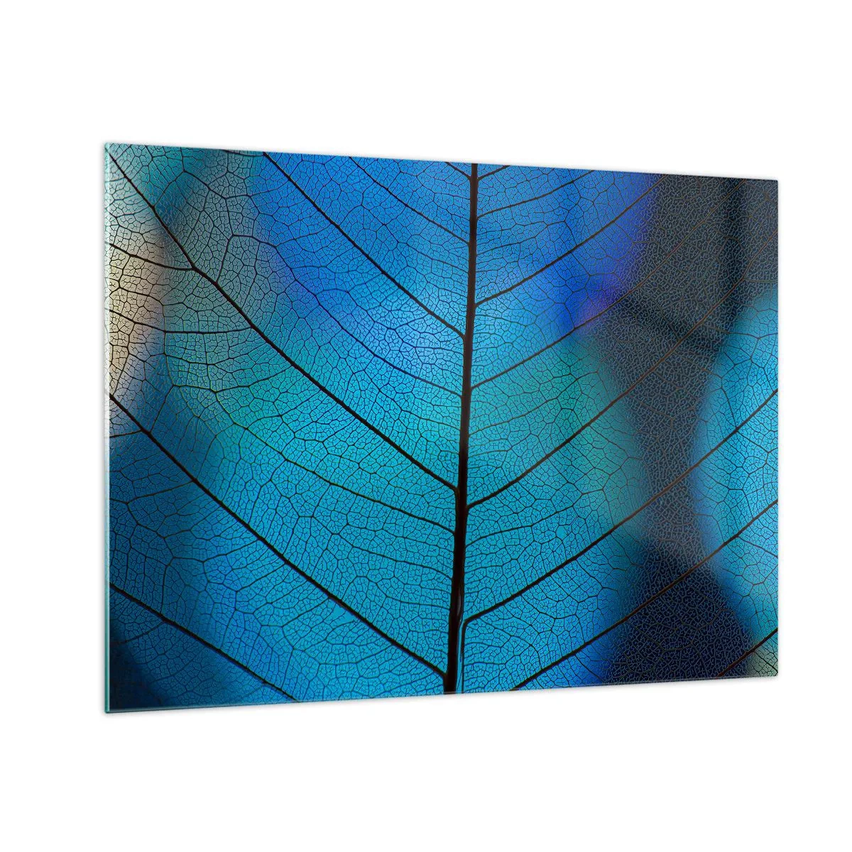 Impression sur verre - Image sur verre - Gros plan d'une feuille bleue montrant la structure des veines. - 70x50cm - Construction complexe - Décoration murale moderne pour le salon et la chambre ARTTOR