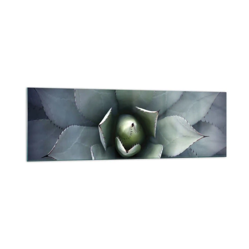 Impression sur verre - Image sur verre - Gros plan d'une rosette d'agave aux délicates nuances de vert - 160x50cm - Wabi et observe - Décoration murale moderne pour le salon et la chambre ARTTOR