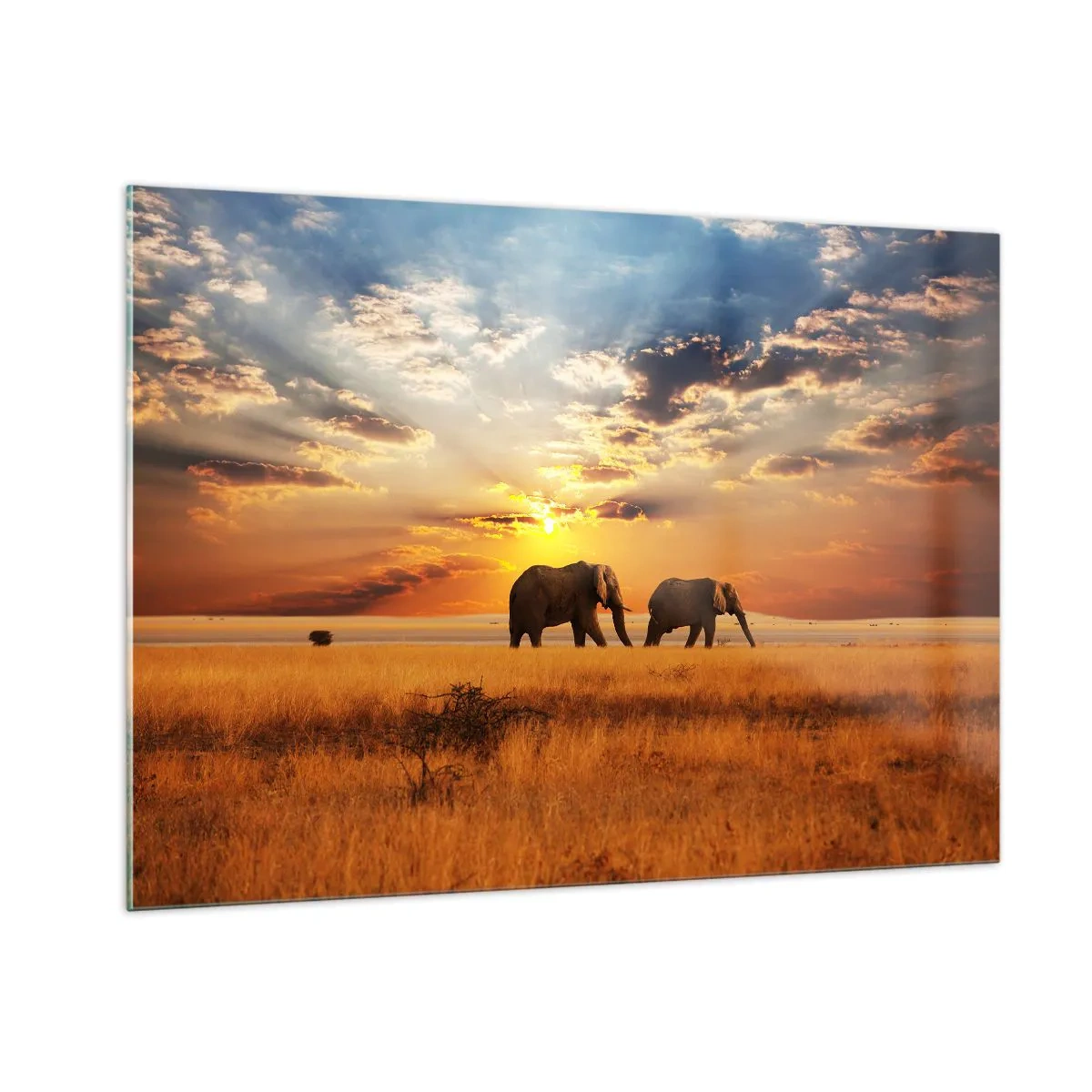 Impression sur verre - Image sur verre - Éléphants dans la savane africaine au coucher du soleil - 100x70cm - Déambulation familliale - Décoration murale moderne pour le salon et la chambre ARTTOR