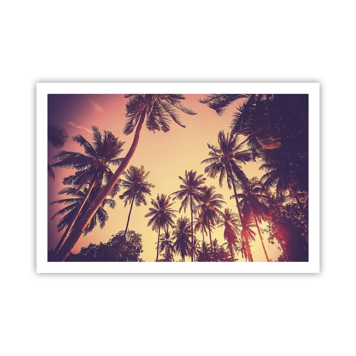 Affiche - Poster - Variation tropicale - 91x61 cm