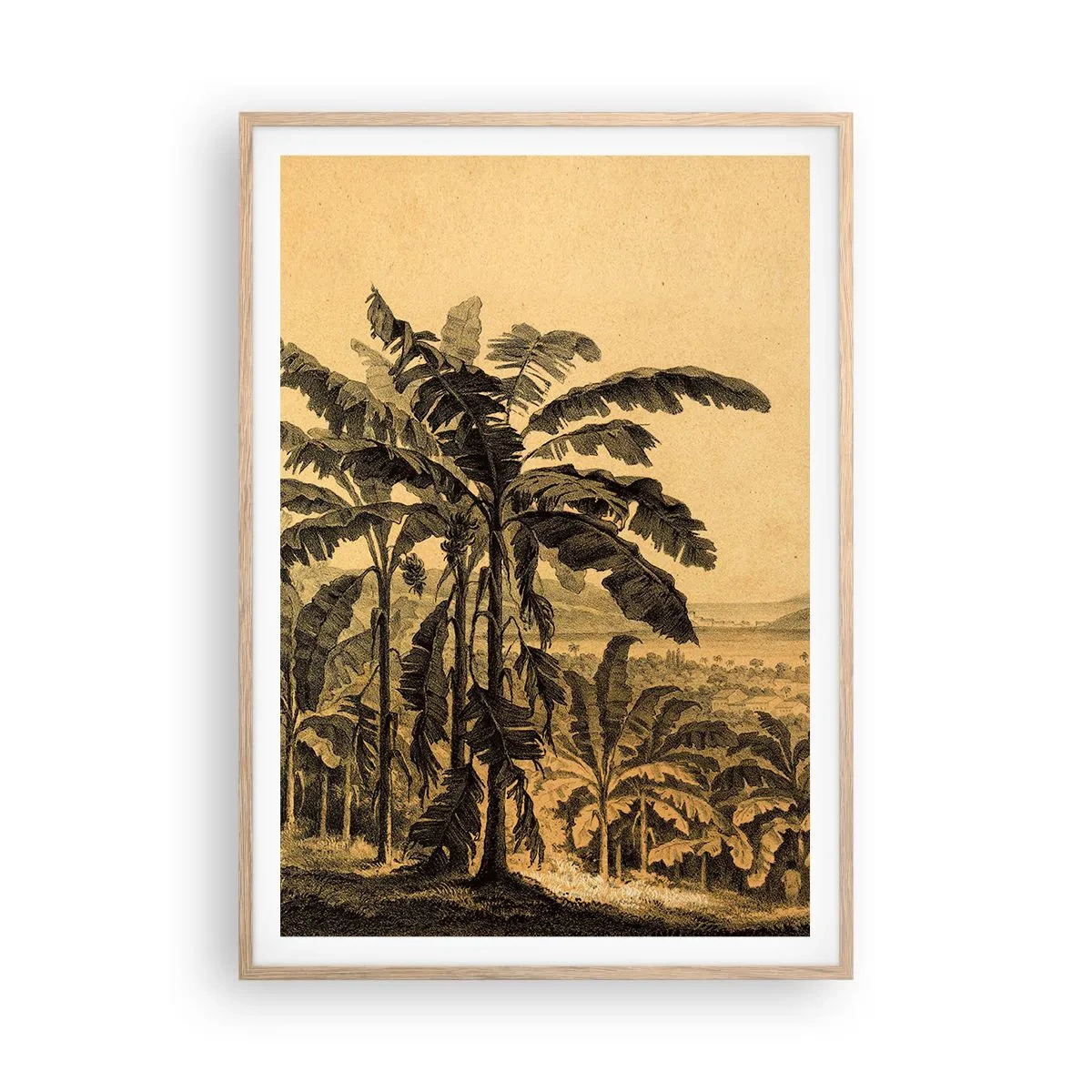 Affiche dans un chêne clair - Poster - Dans un climat colonial - 70x100 cm