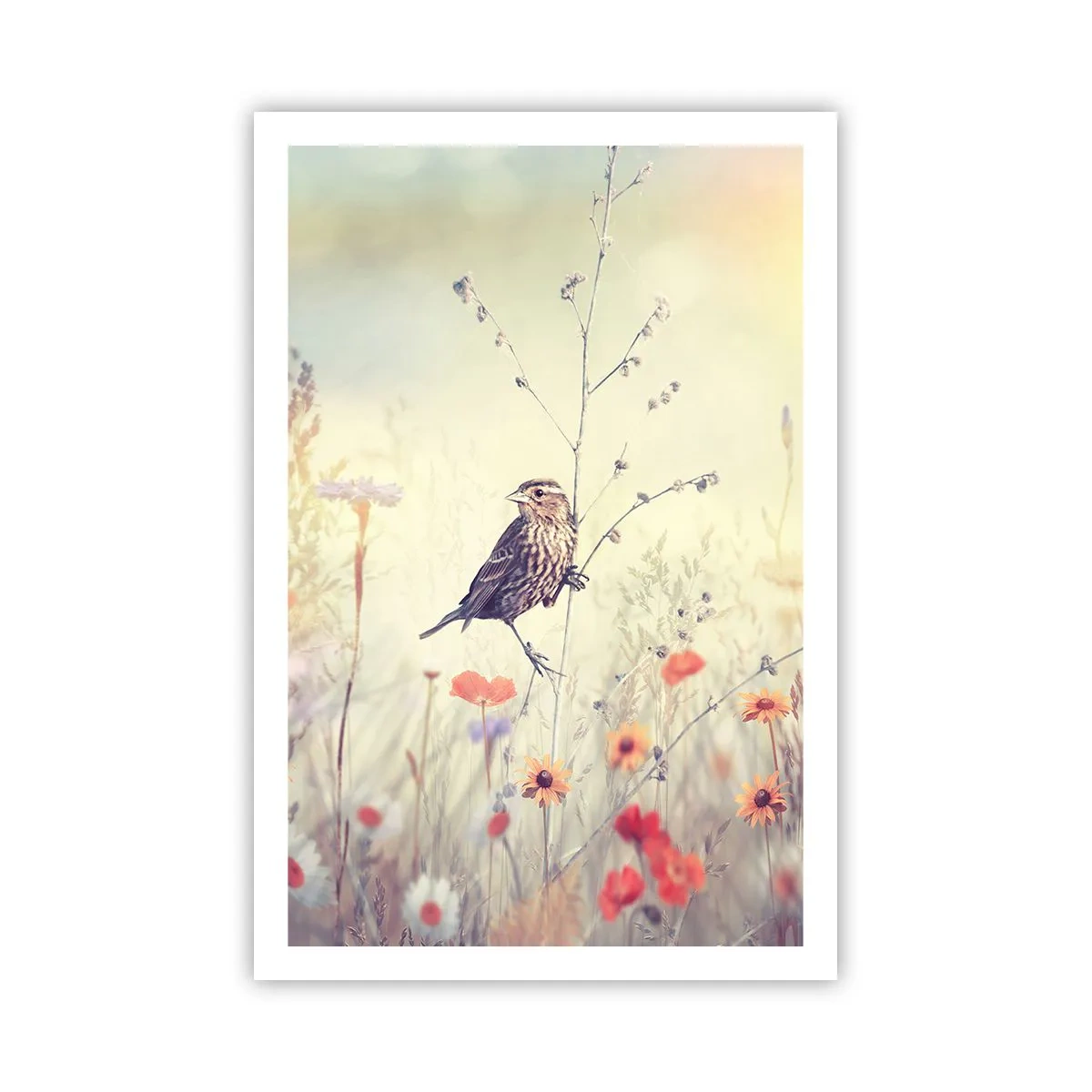 Affiche - Poster - Portrait d'oiseau sur pré en fond - 61x91 cm