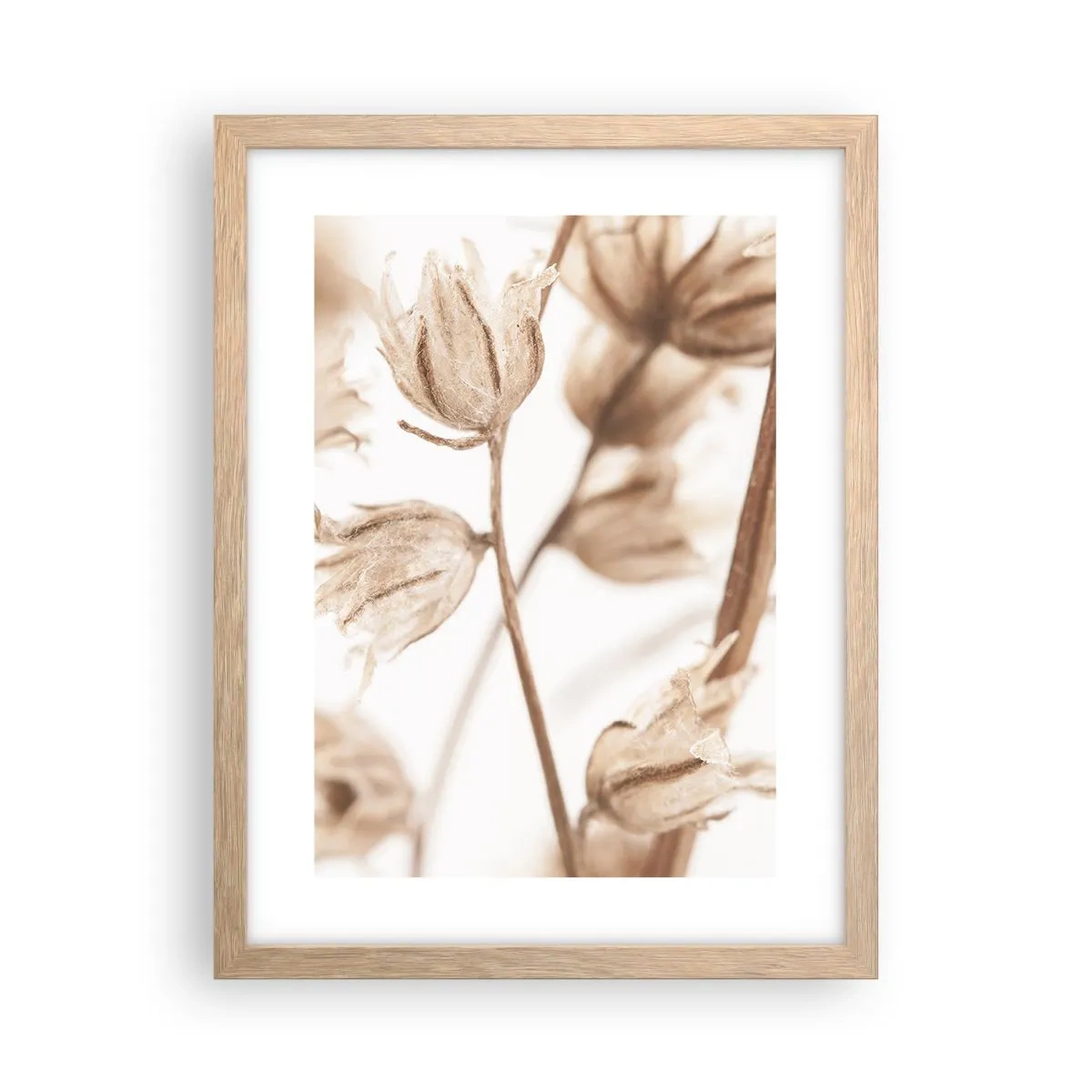 Affiche dans un chêne clair - Poster - Ils appellent à la fin de l'été - 30x40 cm