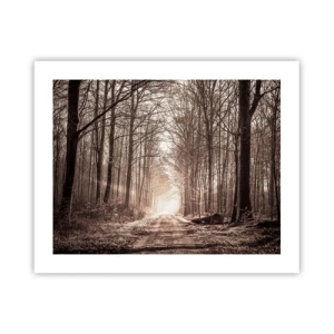 Affiche - Poster - Cathédrale de la forêt - 50x40 cm