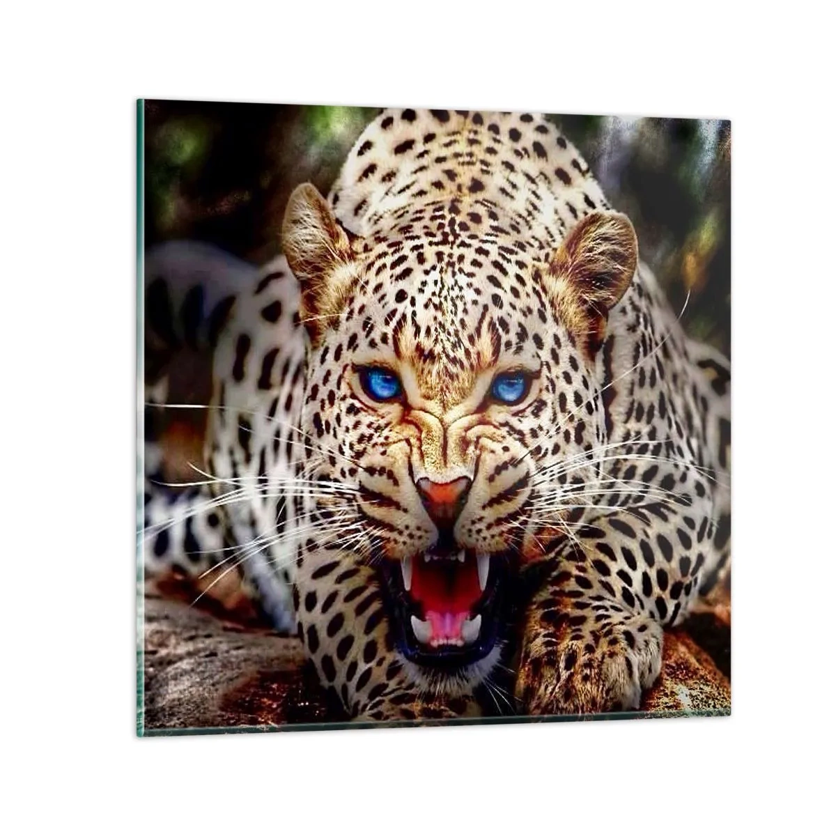 Impression sur verre - Image sur verre - La colère de la beauté ne fait pas de mal - 40x40 cm