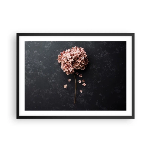 Affiche dans un cadre noir - Poster - Une délicate fleur d'hortensia sur un fond sombre - 70x50cm - Un signe vraiment romantique - Décoration murale moderne pour le salon et la chambre ARTTOR