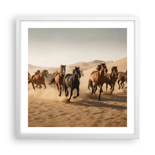 Affiche dans un cadre blanc - Poster - Libre comme le vent - 50x50 cm