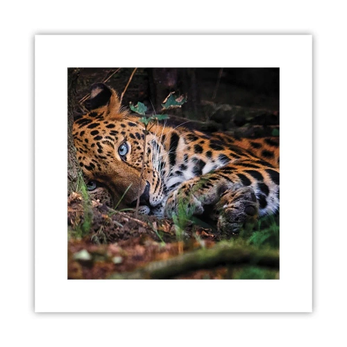 Affiche - Poster - Fais-moi confiance - 30x30 cm