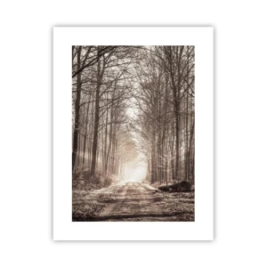 Affiche - Poster - Cathédrale de la forêt - 30x40 cm