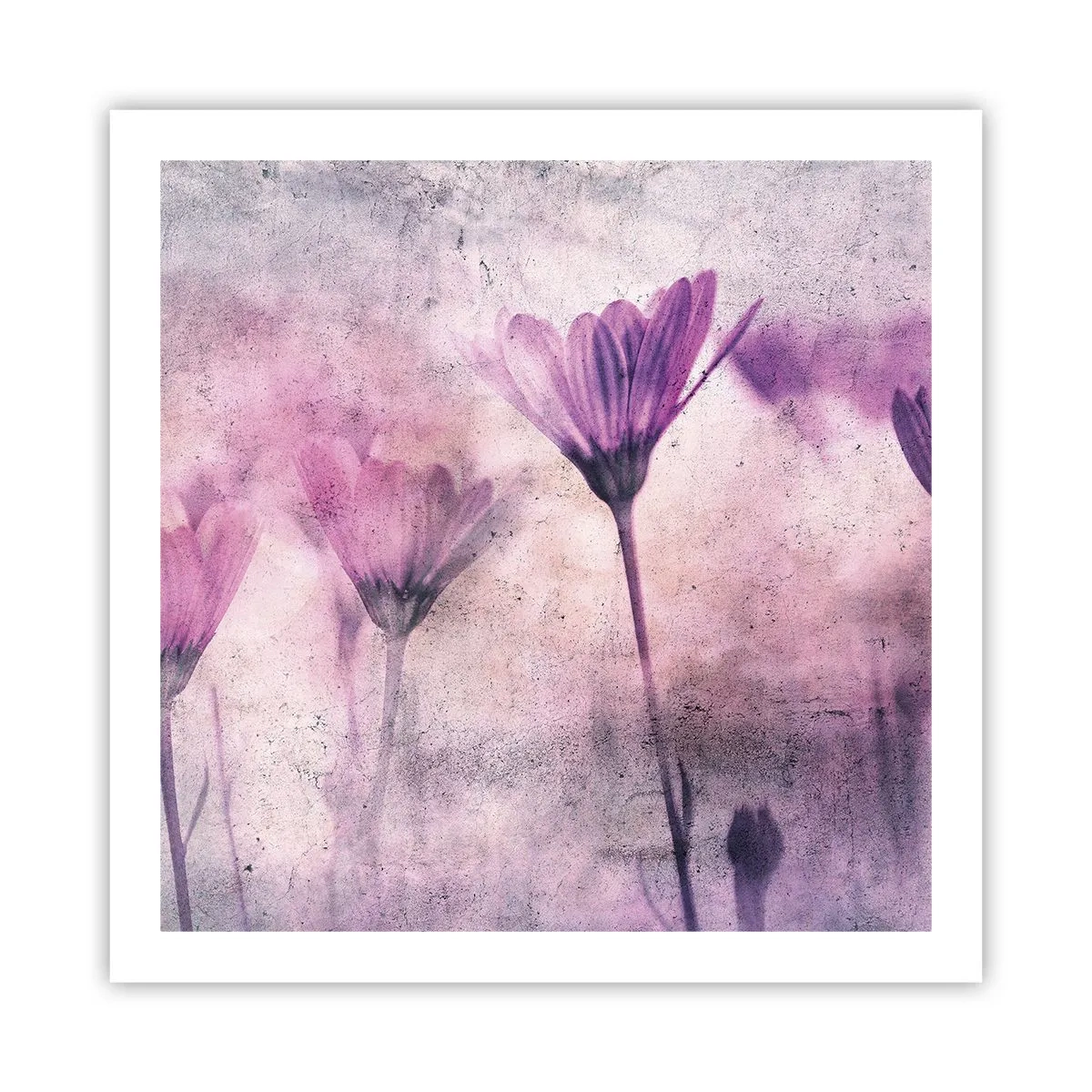 Affiche - Poster - Rêve de fleurs - 60x60 cm