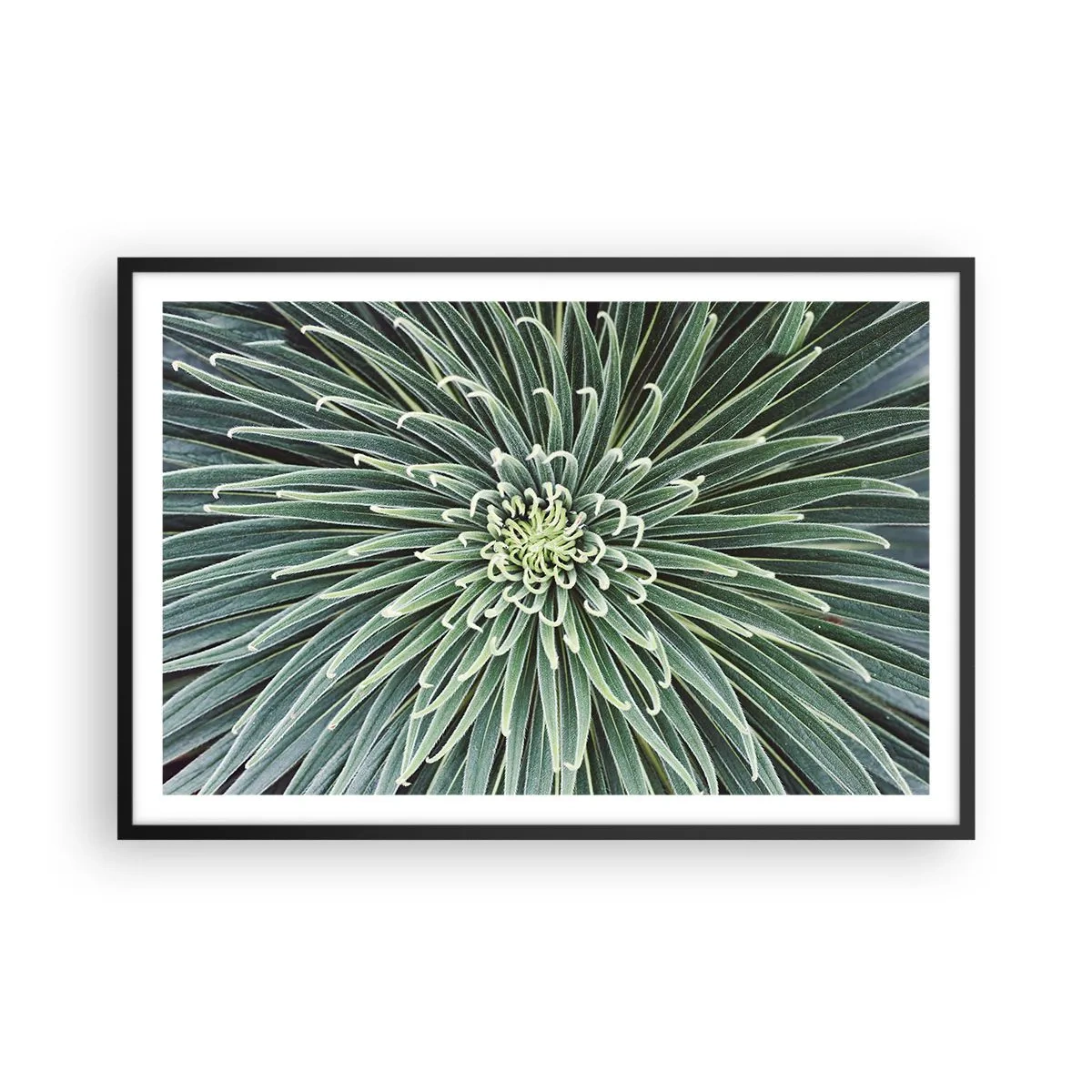 Affiche dans un cadre noir - Poster - Naissance d'une étoile - 91x61 cm