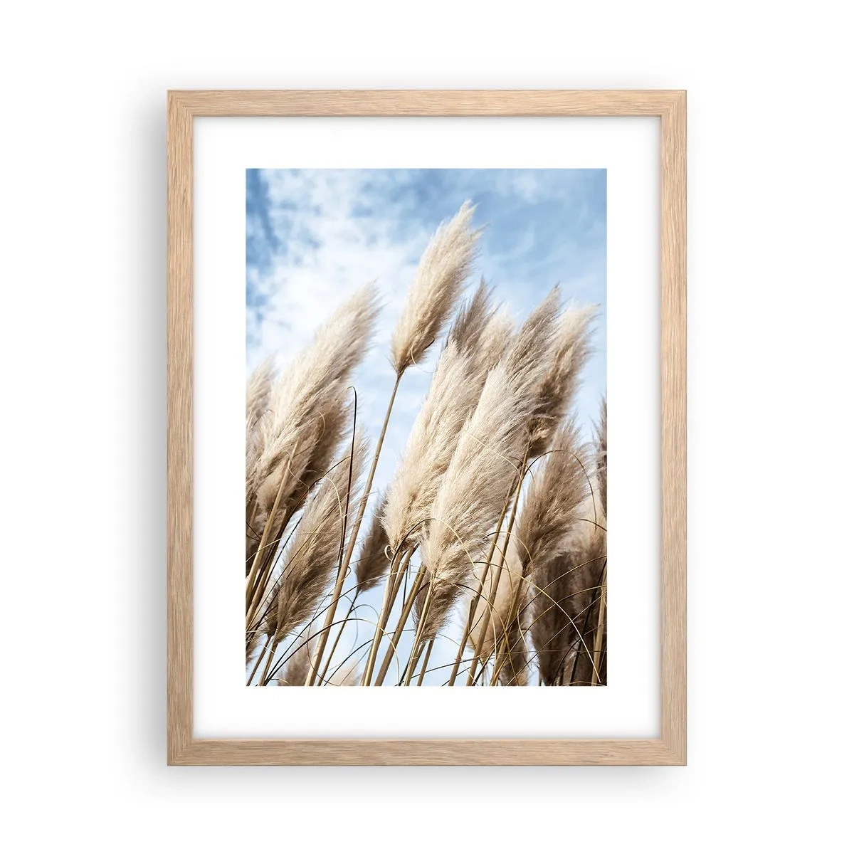 Affiche dans un chêne clair - Poster - Caresse ensoleillée et venteuse - 30x40 cm