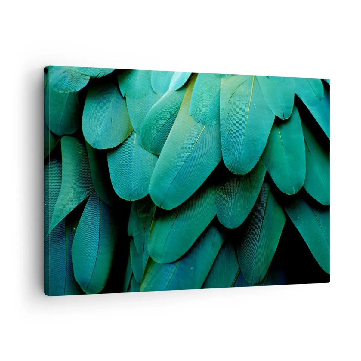 Impression sur toile - Image sur toile - Détail de plumes dans des tons de vert - 70x50cm - Perfection de la nature du perroquet - Décoration murale moderne pour le salon et la chambre ARTTOR