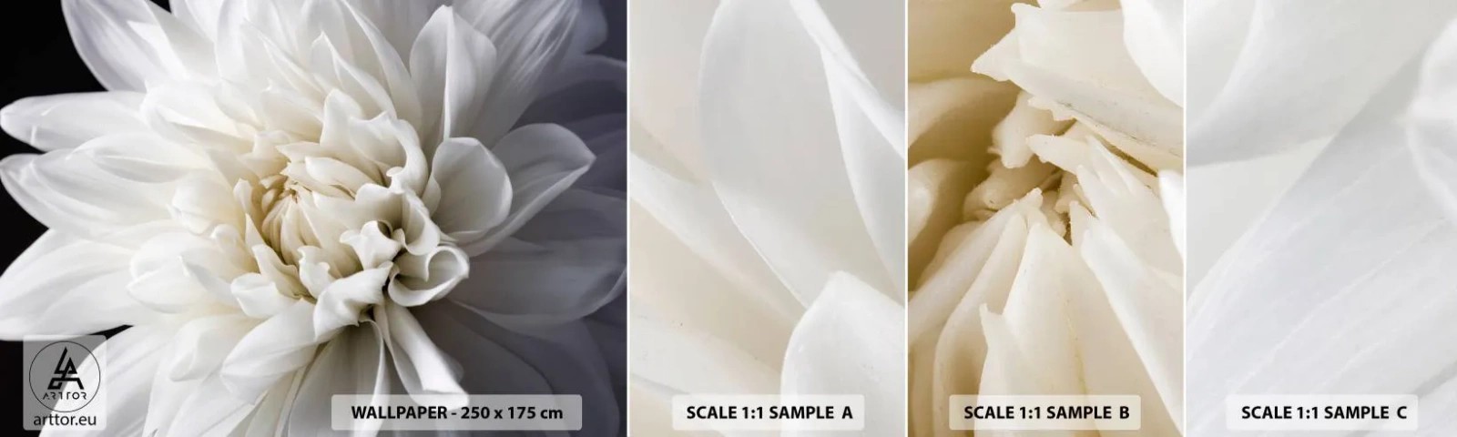 Échantillon de Papier Peint Autocollant Deluxe Sticker - Le matin de la jeune mariéé - Fleur, Dahlia, Nature - 100x30 cm