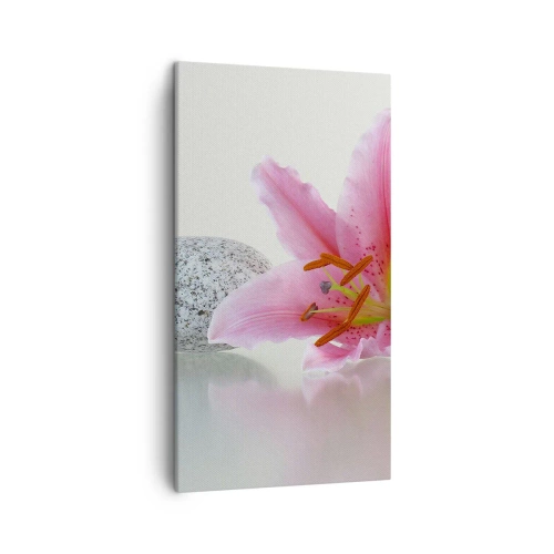 Impression sur toile - Image sur toile - Étude de rose, gris et blanc - 45x80 cm
