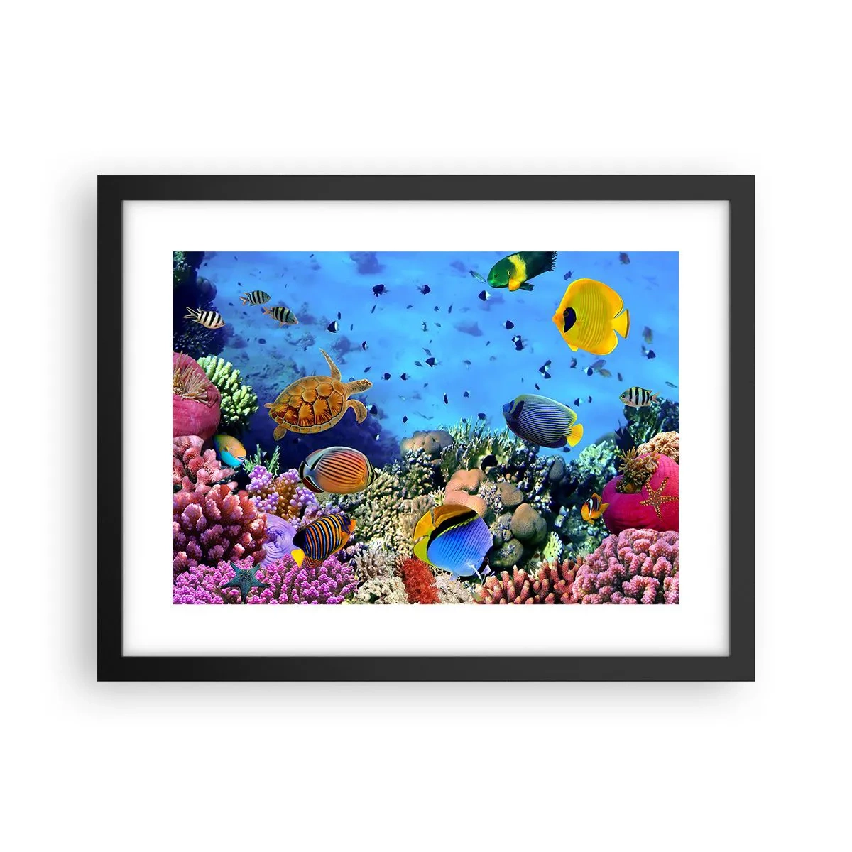 Affiche dans un cadre noir - Poster - Et que sait-on de la vie… - 40x30 cm