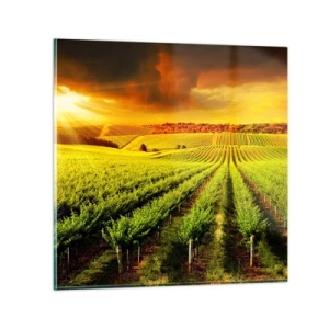 Impression sur verre - Image sur verre - Sous le soleil australien - 60x60 cm