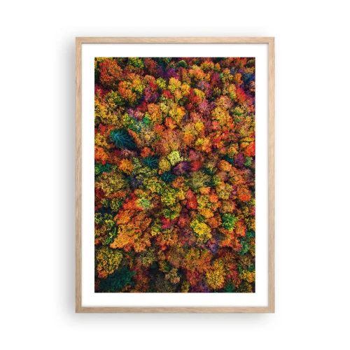 Affiche dans un chêne clair - Poster - Bouquet d'arbres automnal - 50x70 cm
