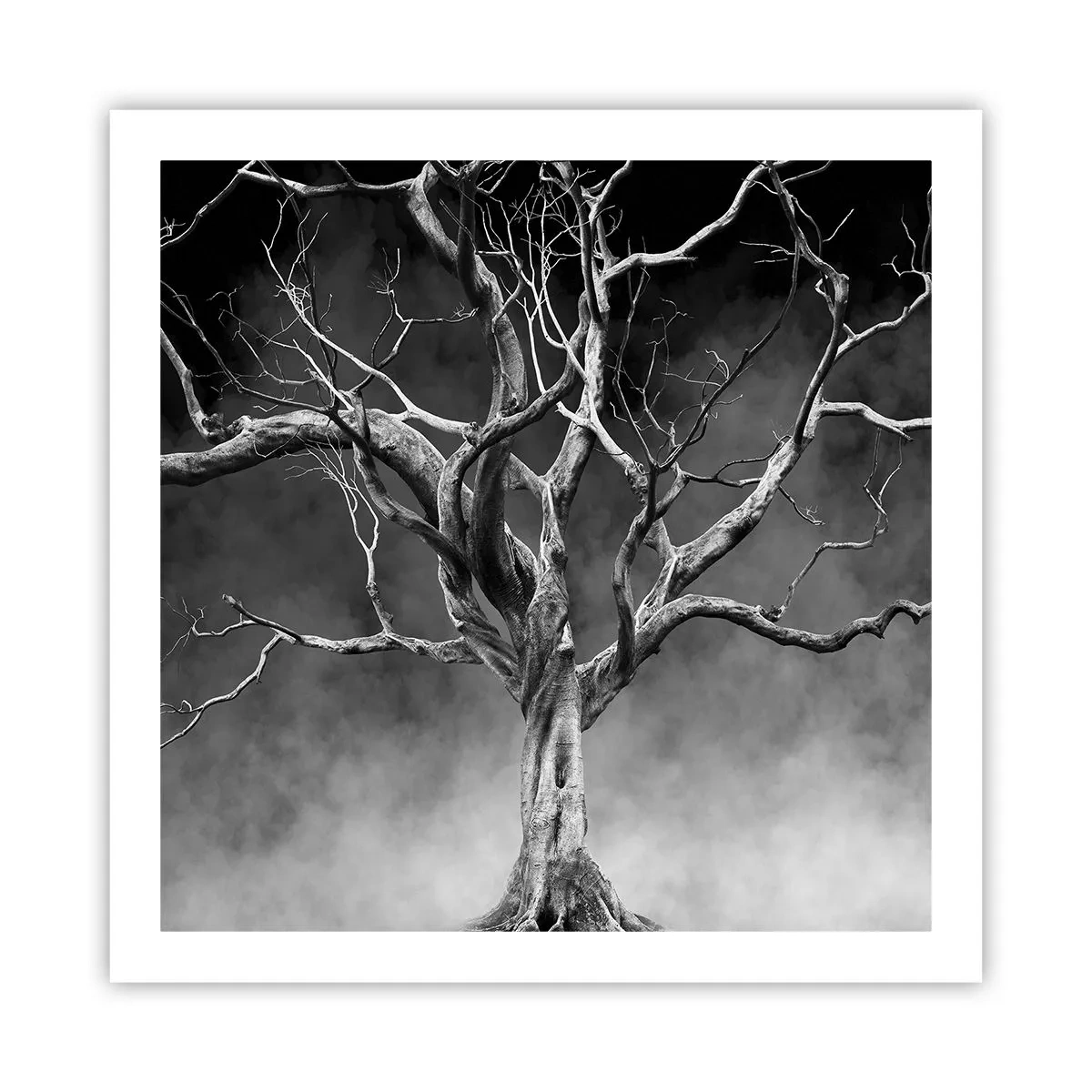 Affiche - Poster - Primordial et sacré - 60x60 cm