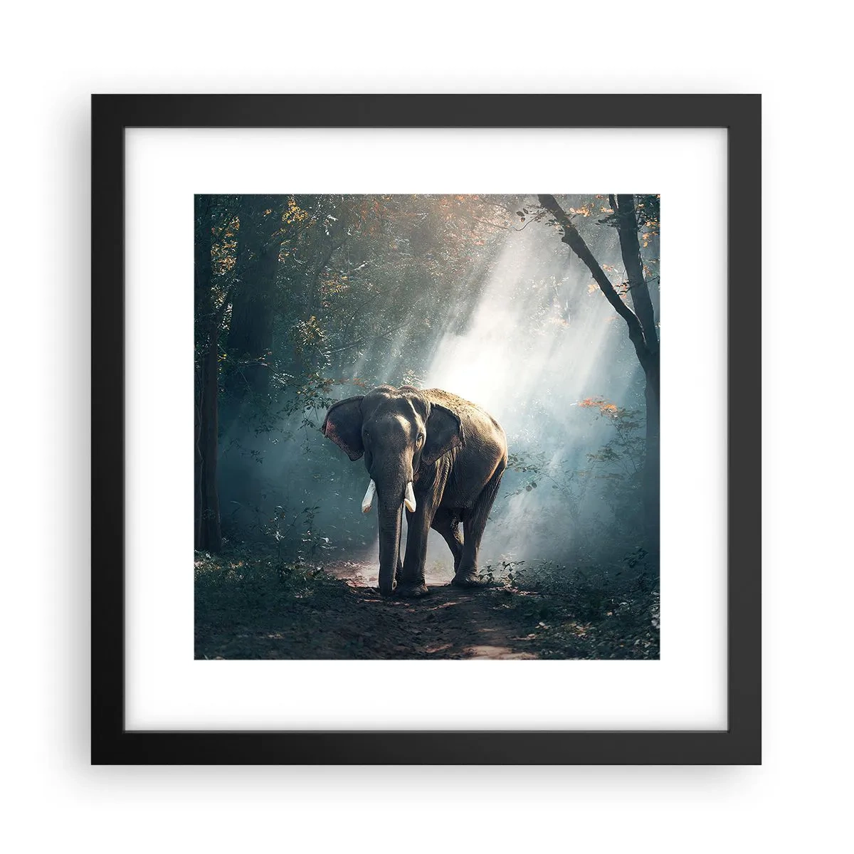 Affiche dans un cadre noir - Poster - Une balade tranquille - 30x30 cm
