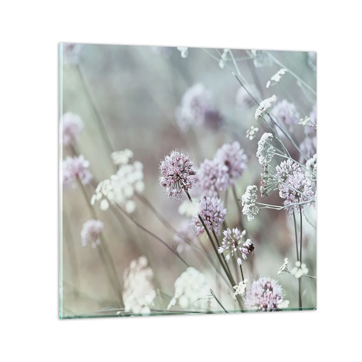 Impression sur verre - Image sur verre - Herbes douces en filigrane - 60x60 cm