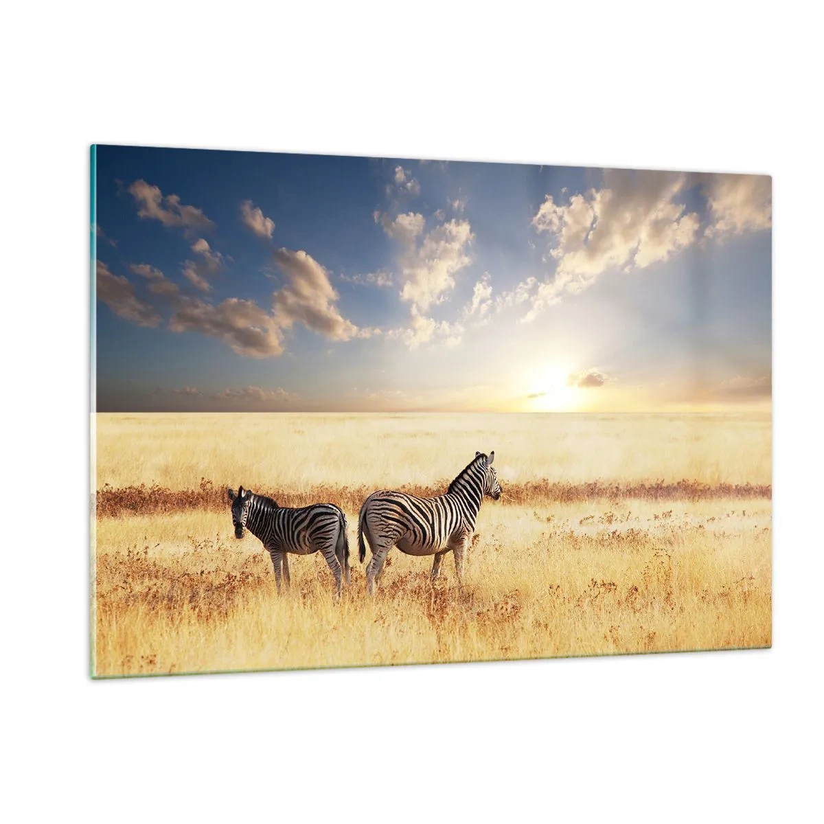 Impression sur verre - Image sur verre - Deux zèbres dans la savane au coucher du soleil - 120x80cm - Va-t'en, n'ai pas de paix - Décoration murale moderne pour le salon et la chambre ARTTOR
