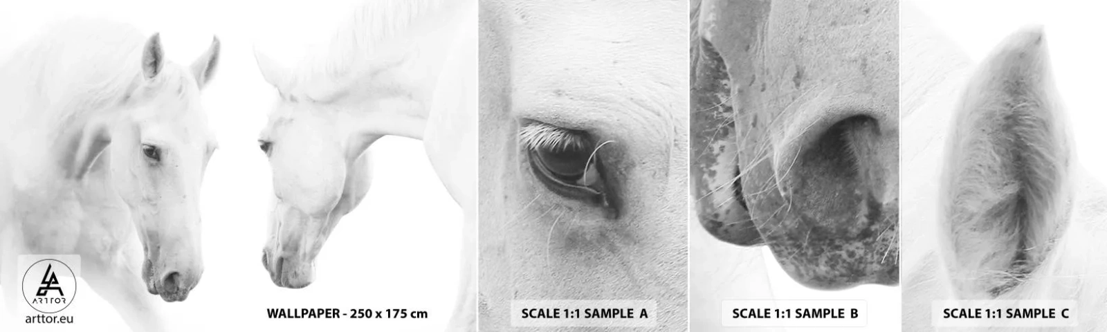 Échantillon de Papier Peint Autocollant Deluxe Sticker - Serait-ce de l’amitié? - Les chevaux, Nature, Animaux - 100x30 cm