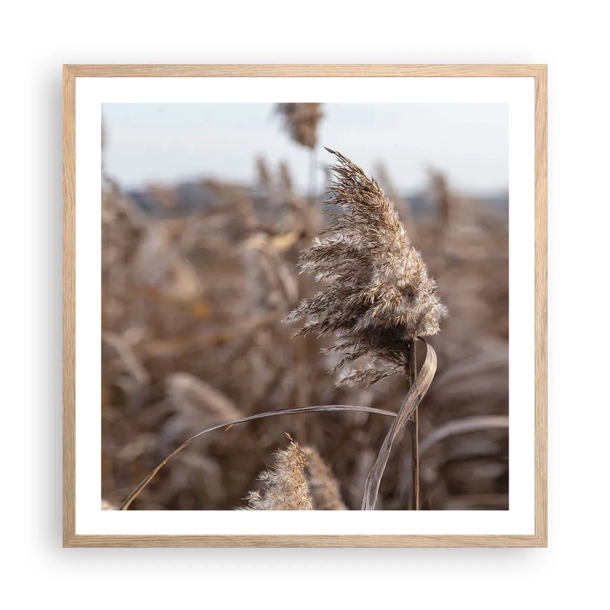 Affiche dans un chêne clair - Poster - Il est temps de s'envoler avec le vent - 60x60 cm