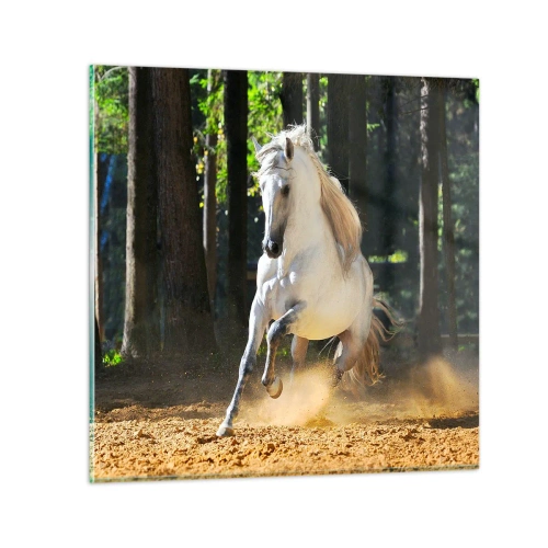 Impression sur verre - Image sur verre - Comme dans un roman fantastique - 60x60 cm