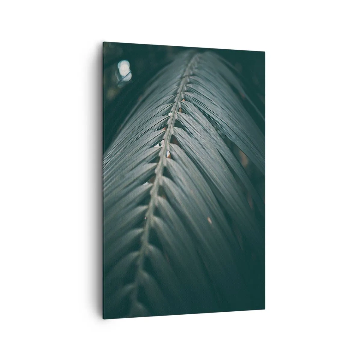 Impression sur toile - Image sur toile - Gros plan d'un détail de feuille de palmier aux tons sombres - 80x120cm - Précision de la nature - Décoration murale moderne pour le salon et la chambre ARTTOR