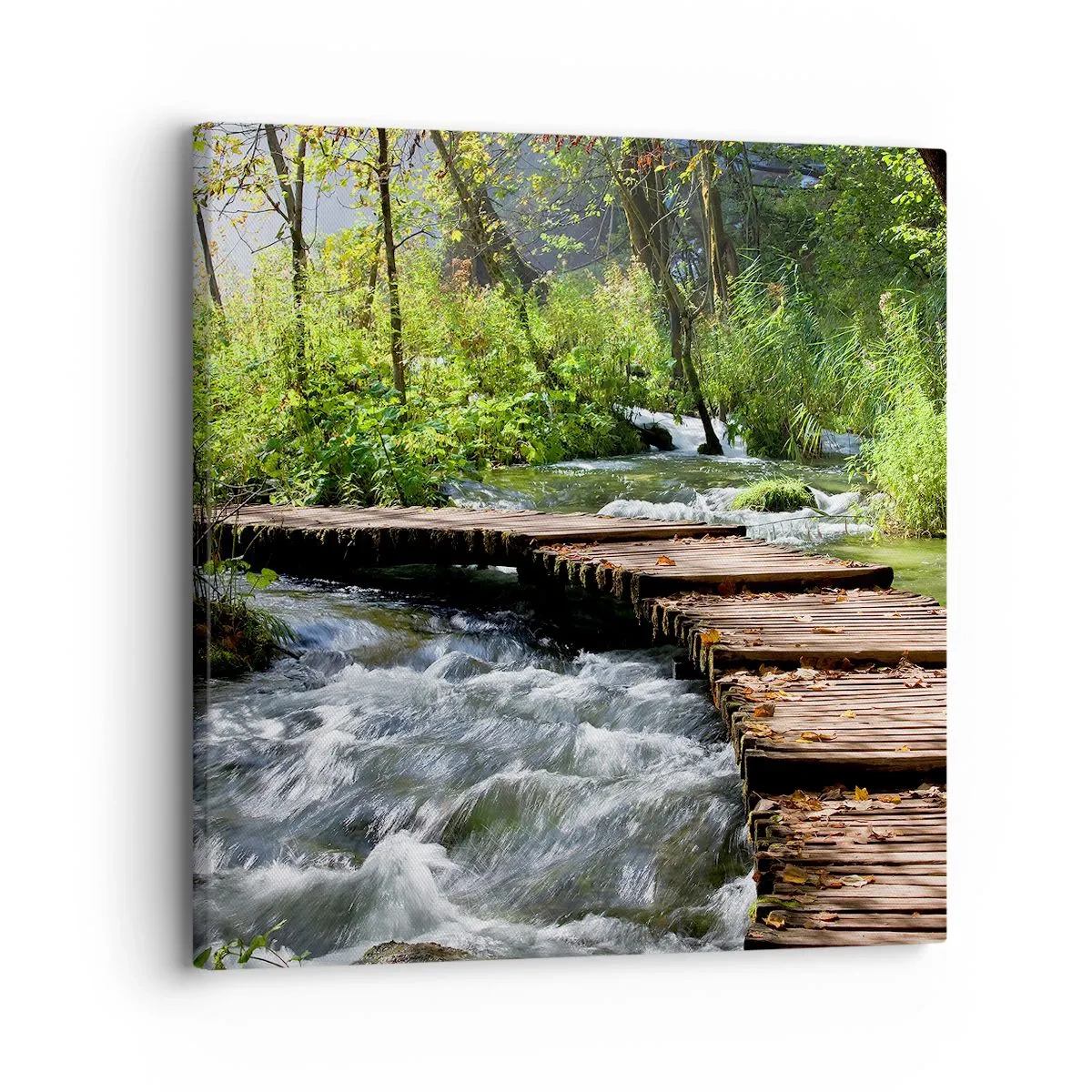 Impression sur toile - Image sur toile - Au-dessus de la cascade mousseuse - 30x30 cm