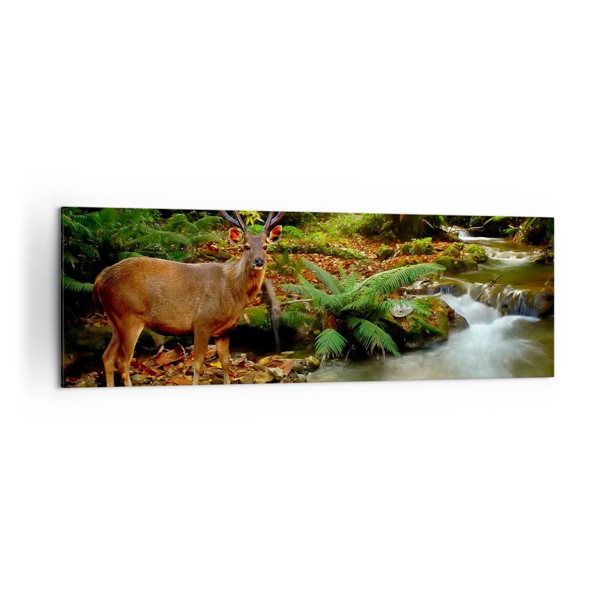 Impression sur toile - Image sur toile - Un cerf près d'un ruisseau entouré de verdure dans la forêt - 160x50cm - Bienvenue dans mon monde - Décoration murale moderne pour le salon et la chambre ARTTOR