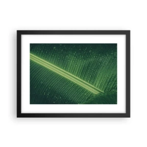 Affiche dans un cadre noir - Poster - Structure de vert - 40x30 cm